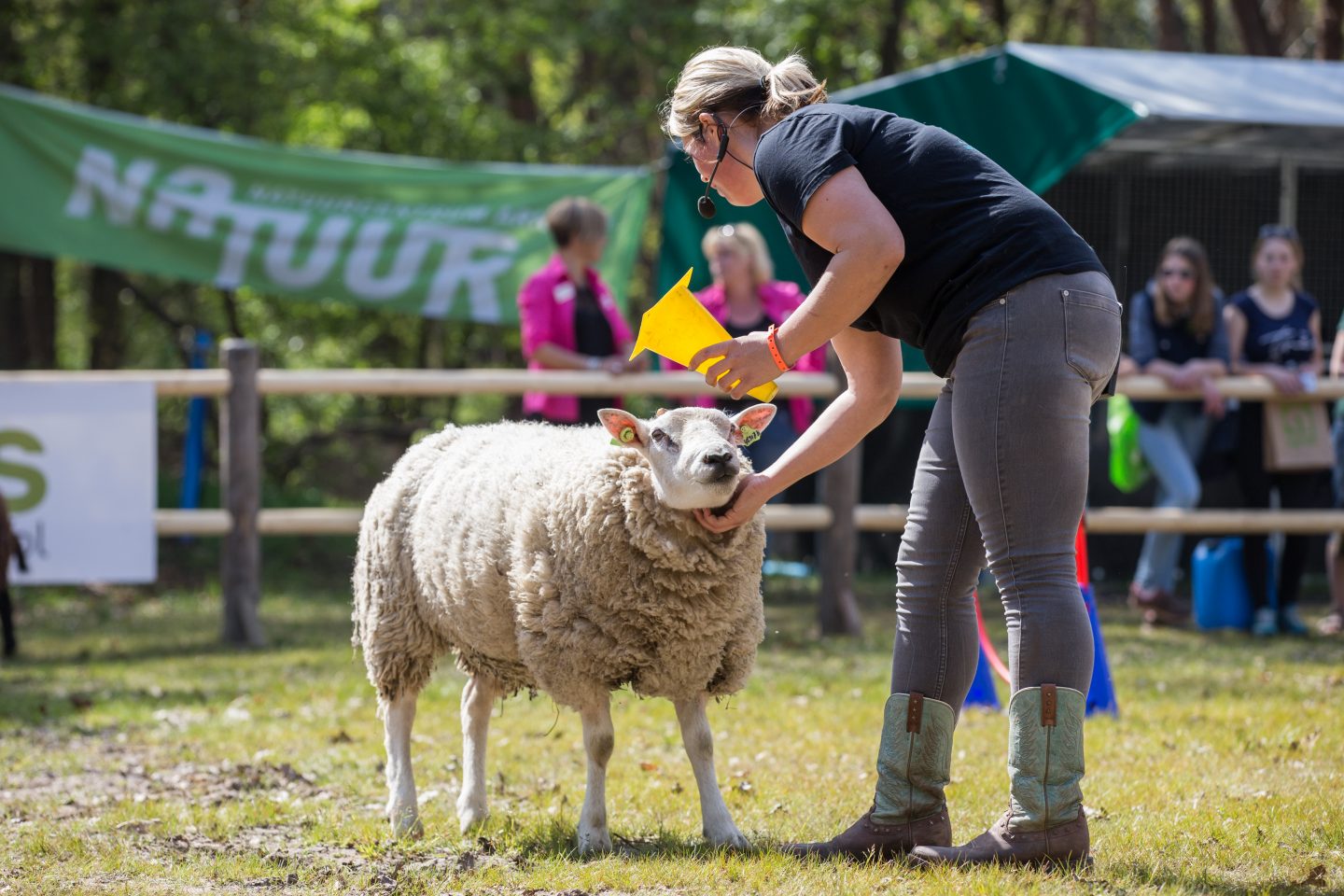 Spectaculaire show schapendrijven op Animal Event! - Animal Event