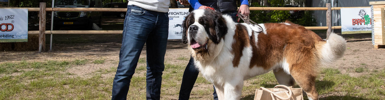 Park_Mooiste hond(8)