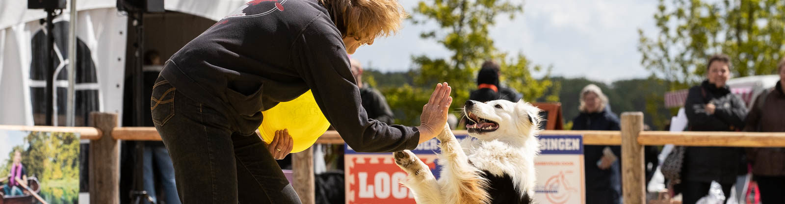 Dorp_Dogfrisbee wedstrijd Za(6)