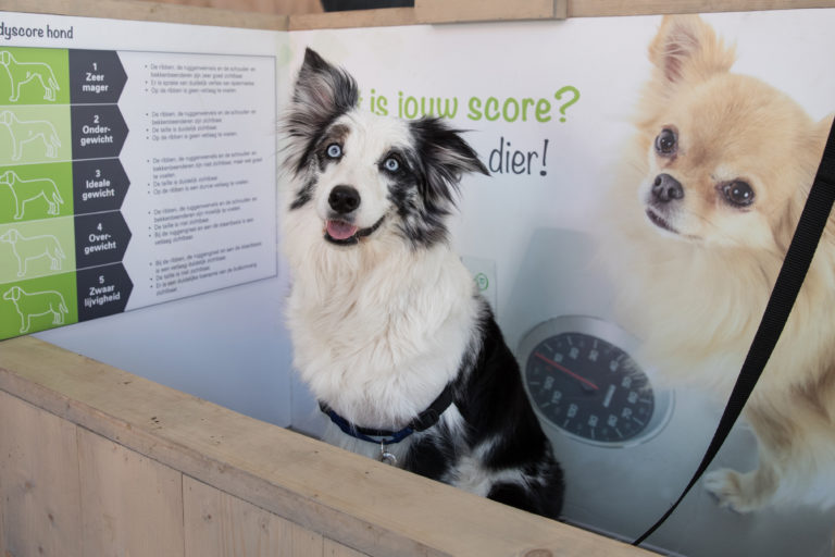 Beste Baas Quiz - Animal Event 2020 - honden quiz